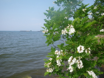IMGP1873.JPG