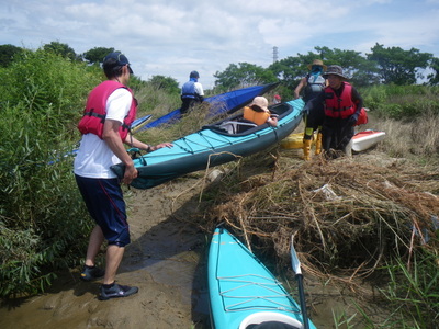 IMGP20130630133.JPG