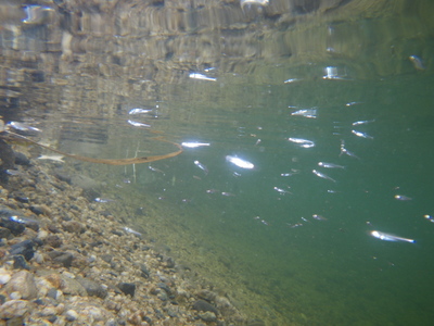 IMGP2013063082.JPG
