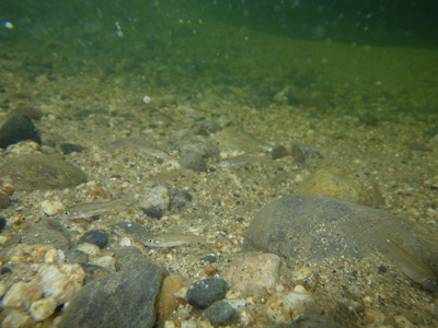 IMGP2013063099.JPG