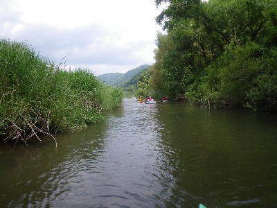 IMGP2421.JPG