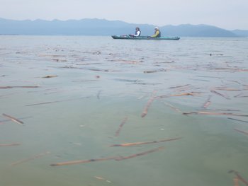IMGP28211.JPG