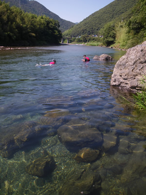 IMGP2829.jpg