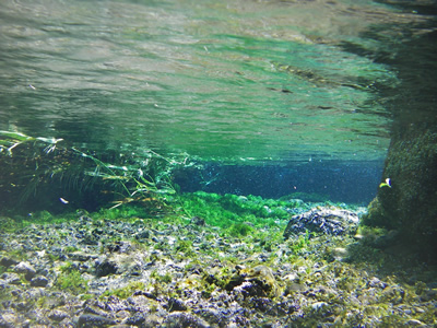 IMGP2883.jpg