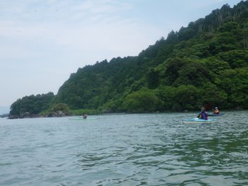 IMGP29101.JPG