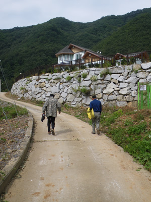 IMGP3279.jpg