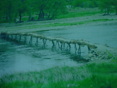 IMGP3351.jpg