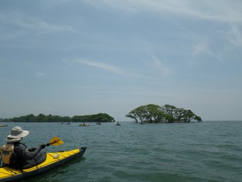 IMGP3870.JPG