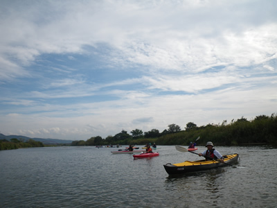 IMGP3887.jpg