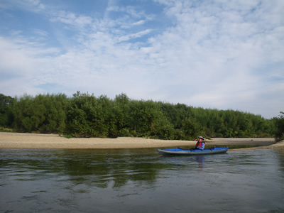 IMGP3941.jpg
