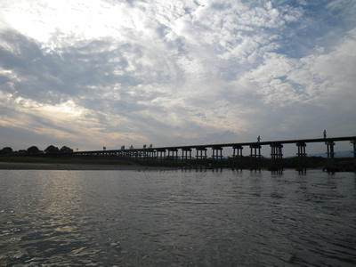 IMGP3946.jpg