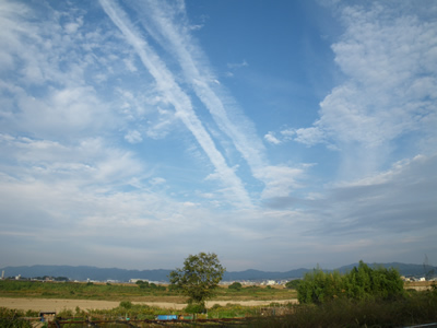 IMGP3988.jpg