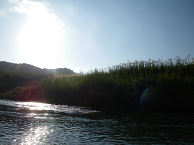 IMGP4164.jpg