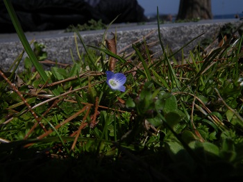 IMGP5911.jpg