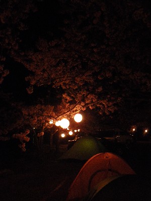 IMGP8570.JPG