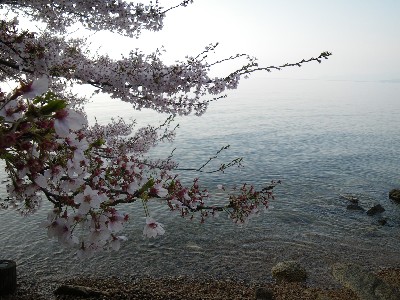 IMGP8574.JPG