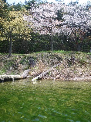 IMGP8633.JPG