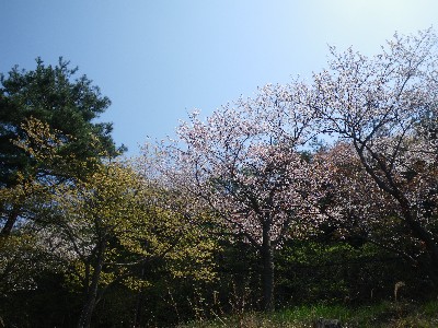IMGP8634.JPG