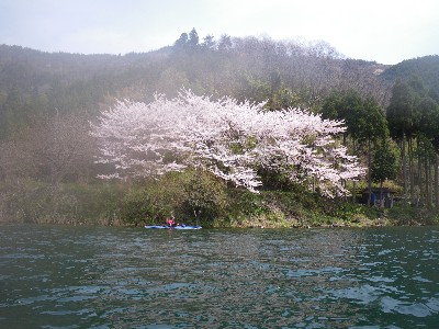IMGP8661.JPG