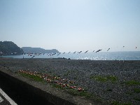 IMGP8718.JPG