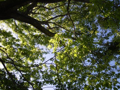 IMGP9151.JPG