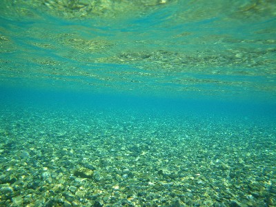 IMGP9200.JPG