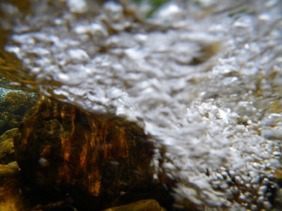 IMGP9231.JPG