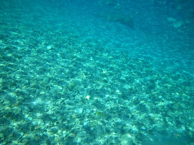 IMGP9267.JPG