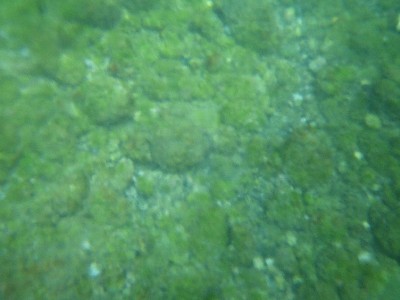 IMGP9304.JPG