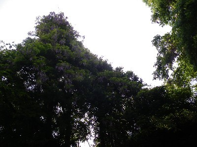 IMGP9361.JPG
