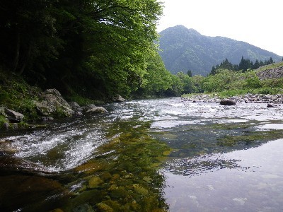 IMGP9382.JPG