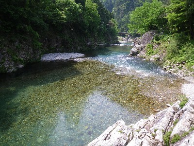 IMGP9399.JPG