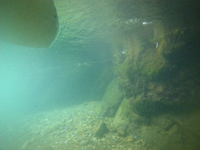 IMGP9507.JPG