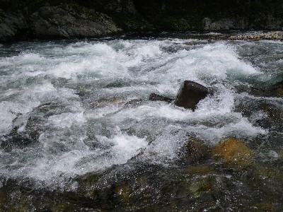 IMGP9523.JPG