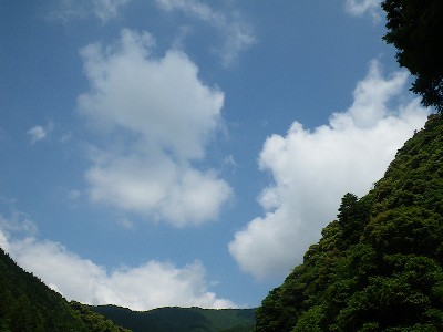 IMGP9771.JPG