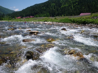 IMGP9934.JPG
