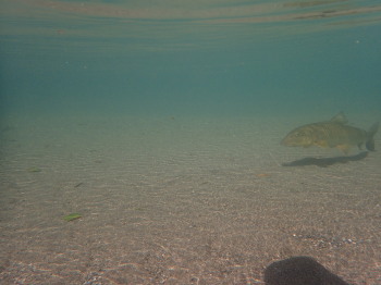 P3310177.jpg