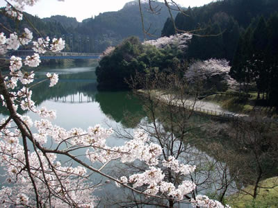 P4067844.jpg