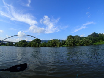 P8250041.jpg
