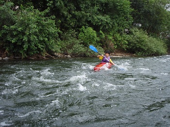 P84.jpg